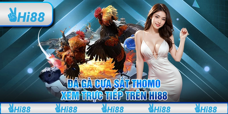 Đá Gà Cựa Sắt Thomo: Xem Trực Tiếp Và Cá Cược Trên Hi88