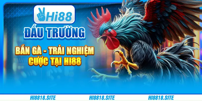 Đấu Trường Bắn Gà - Trải Nghiệm Cược Tại Nhà Cái Hi88