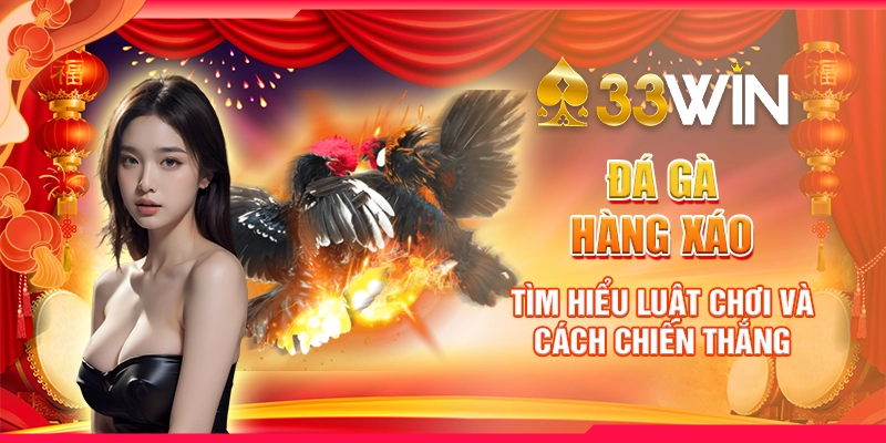 Đá Gà Hàng Xáo - Tìm Hiểu Luật Chơi Và Cách Chiến Thắng
